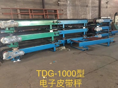 TDG-1000型电子皮带秤